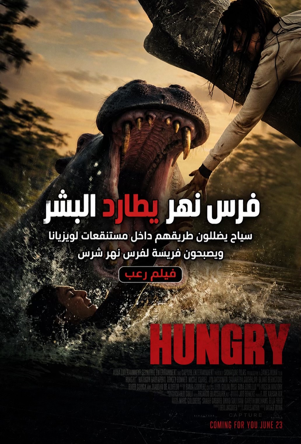 @Top movie