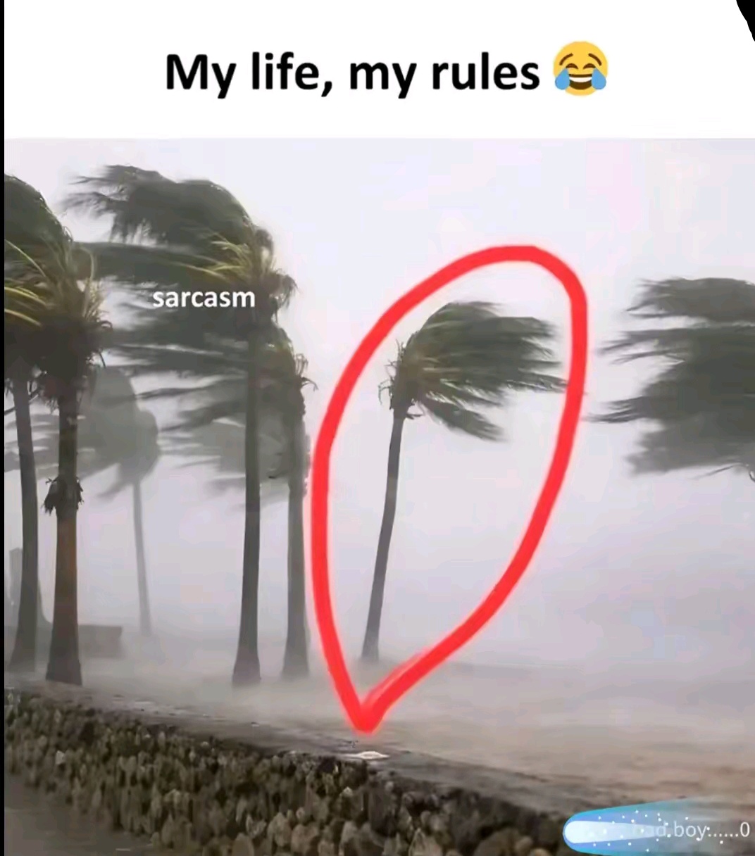 @🪽Saroj==Das🕊️