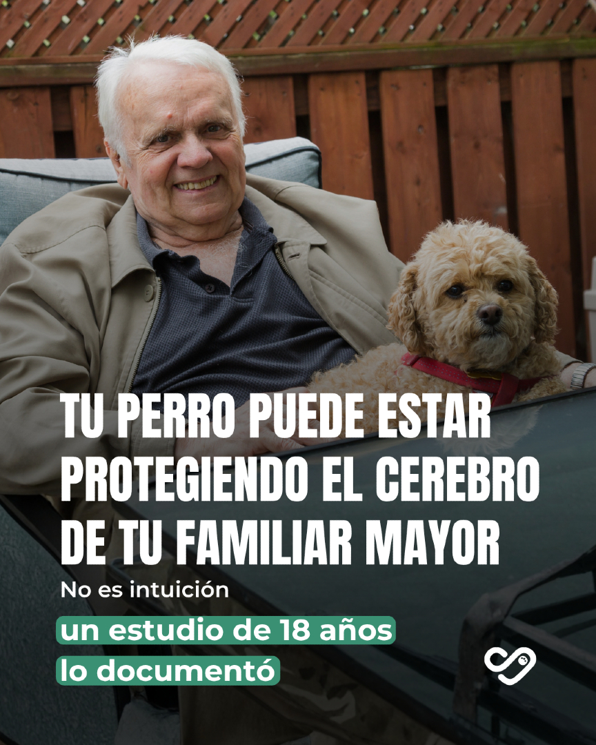 @Pancho Cavero