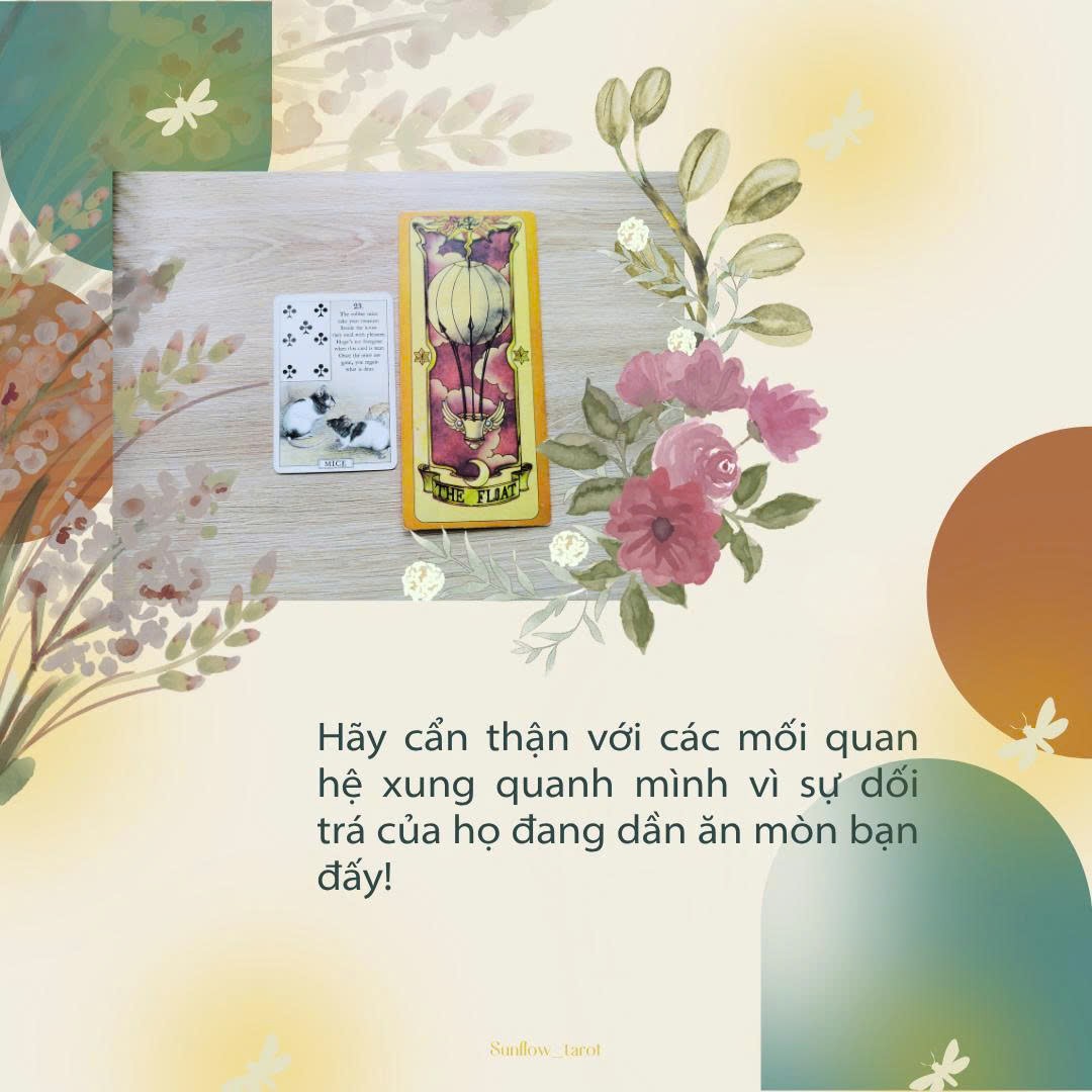 @sunflow_tarot