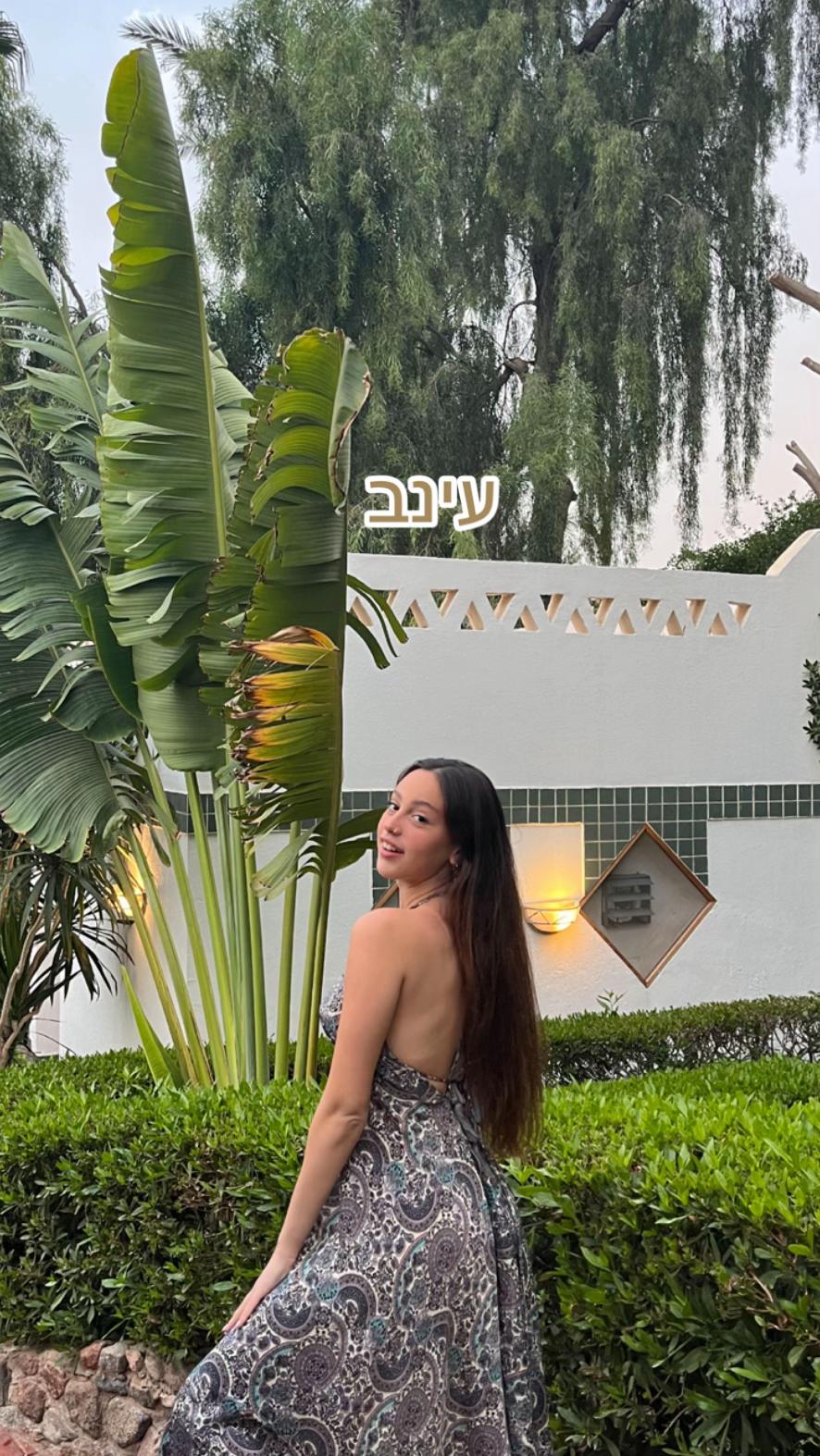 @einavschik