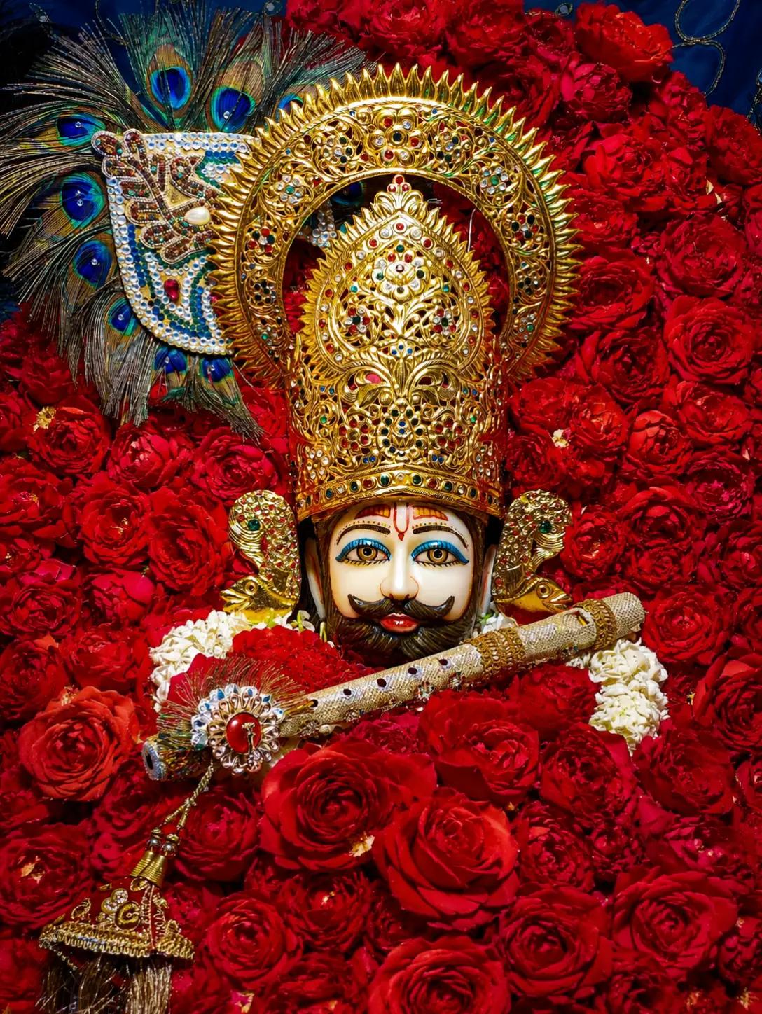 @shree shyam premi🫶🚩🕉️✨