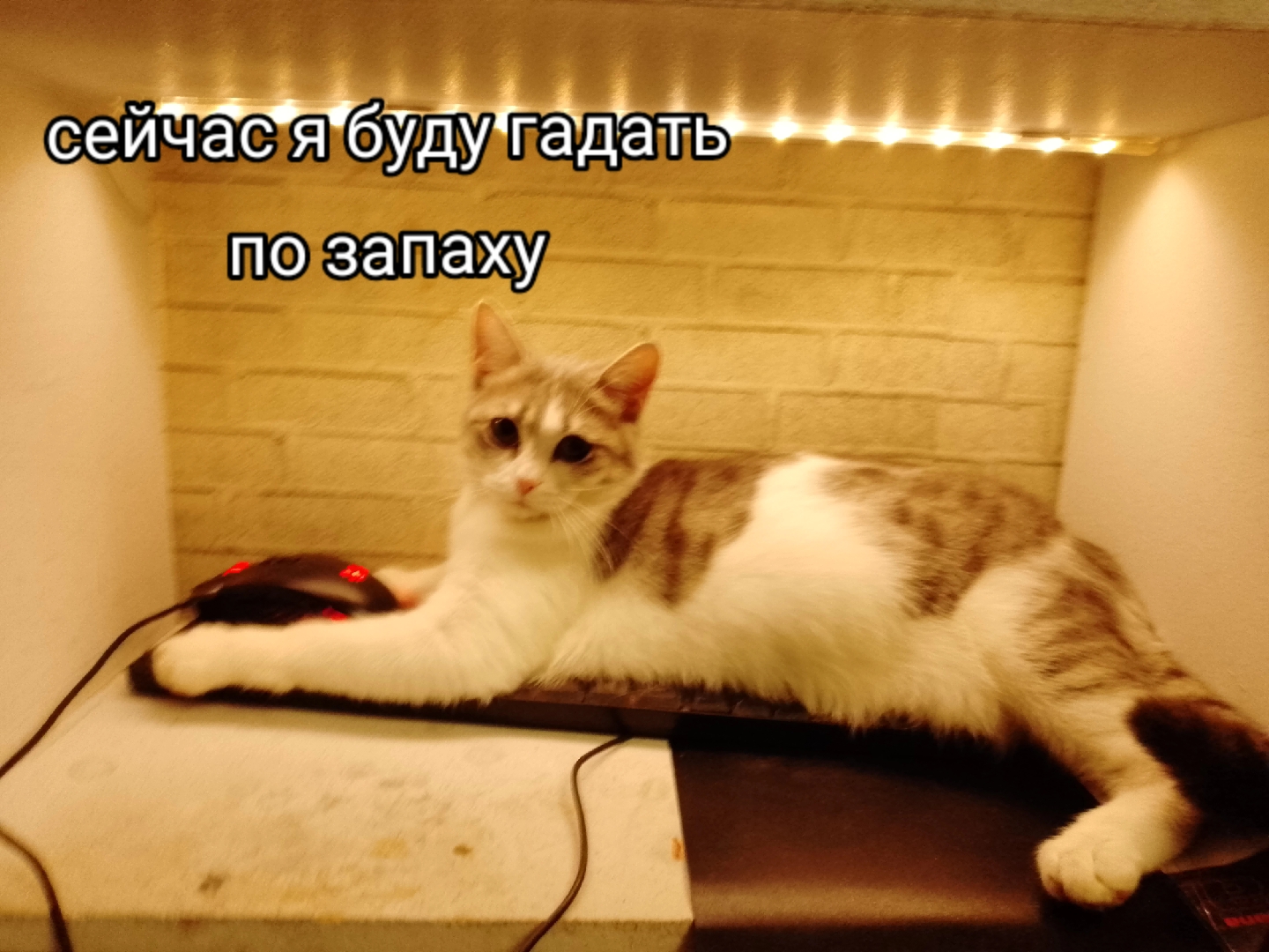 @нимфоманка