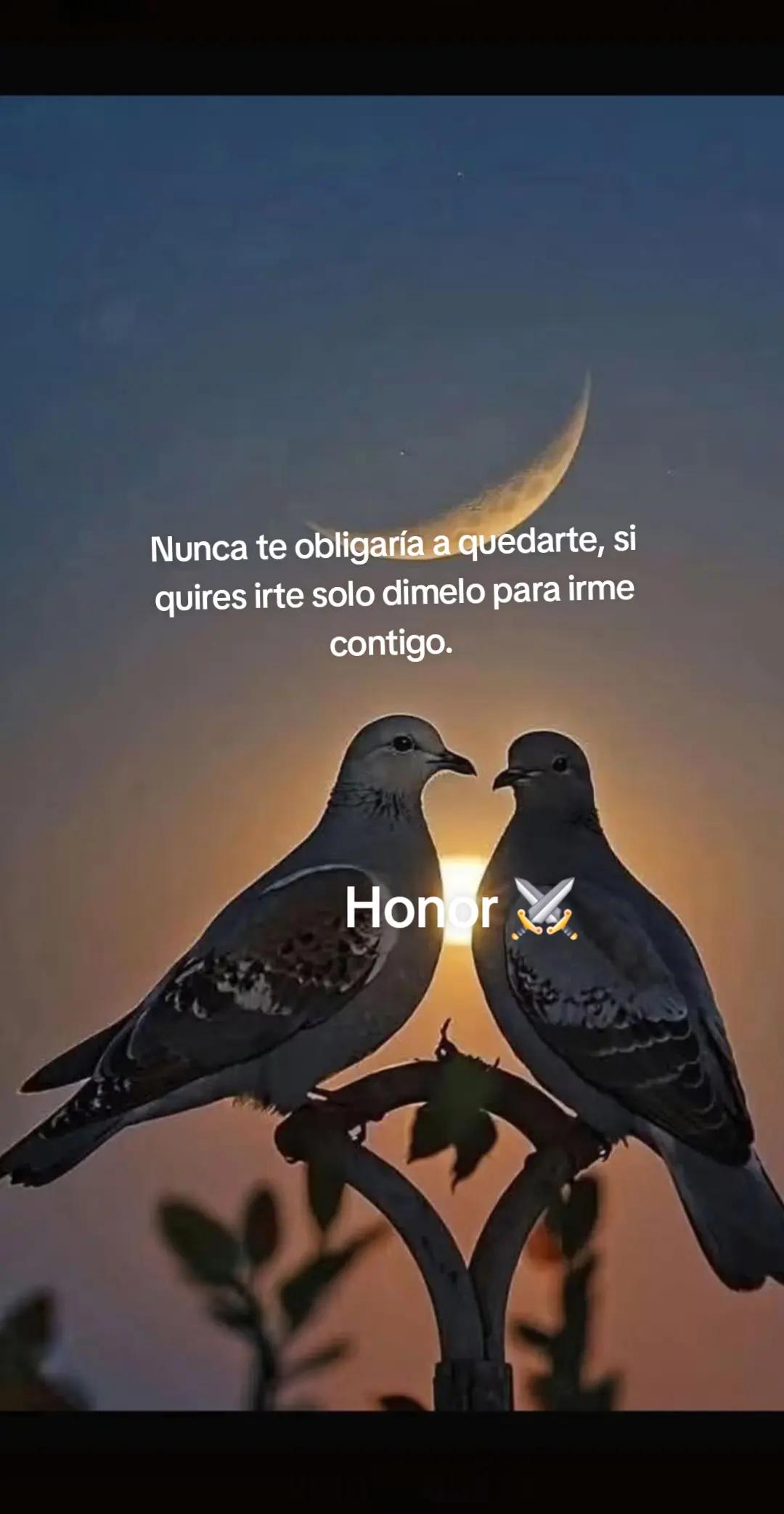 @normita