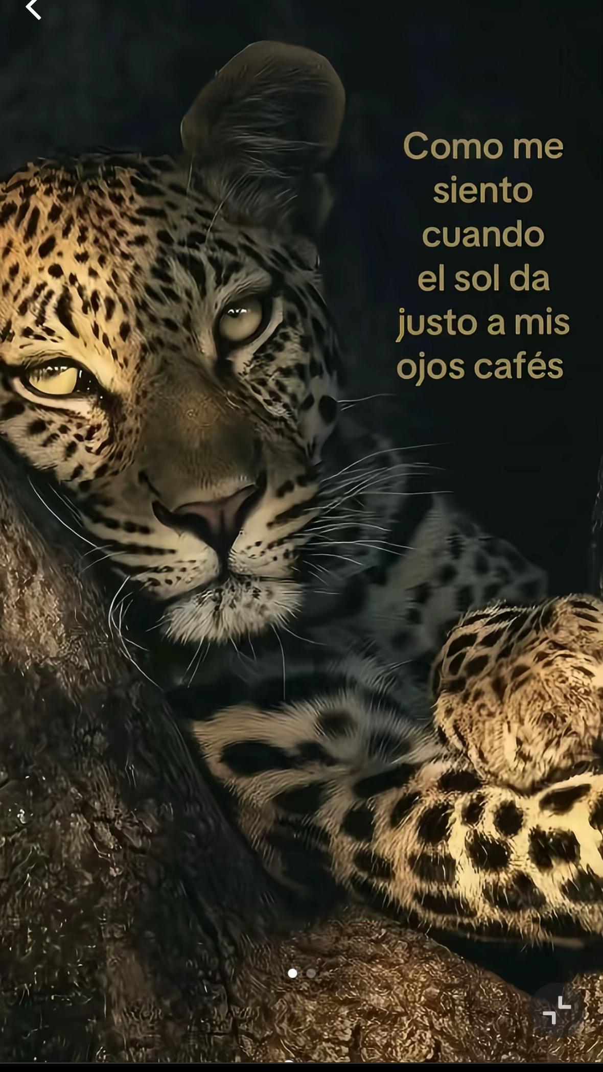 @Sebas_28 