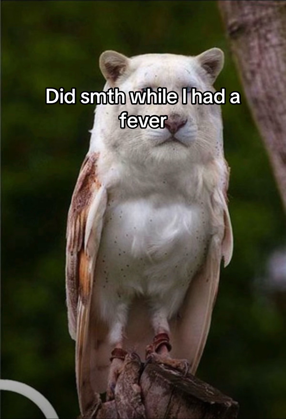 @𝓐𝓬𝓱𝓲𝓽𝓸