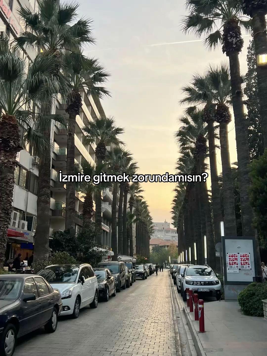 @Şakrın✨