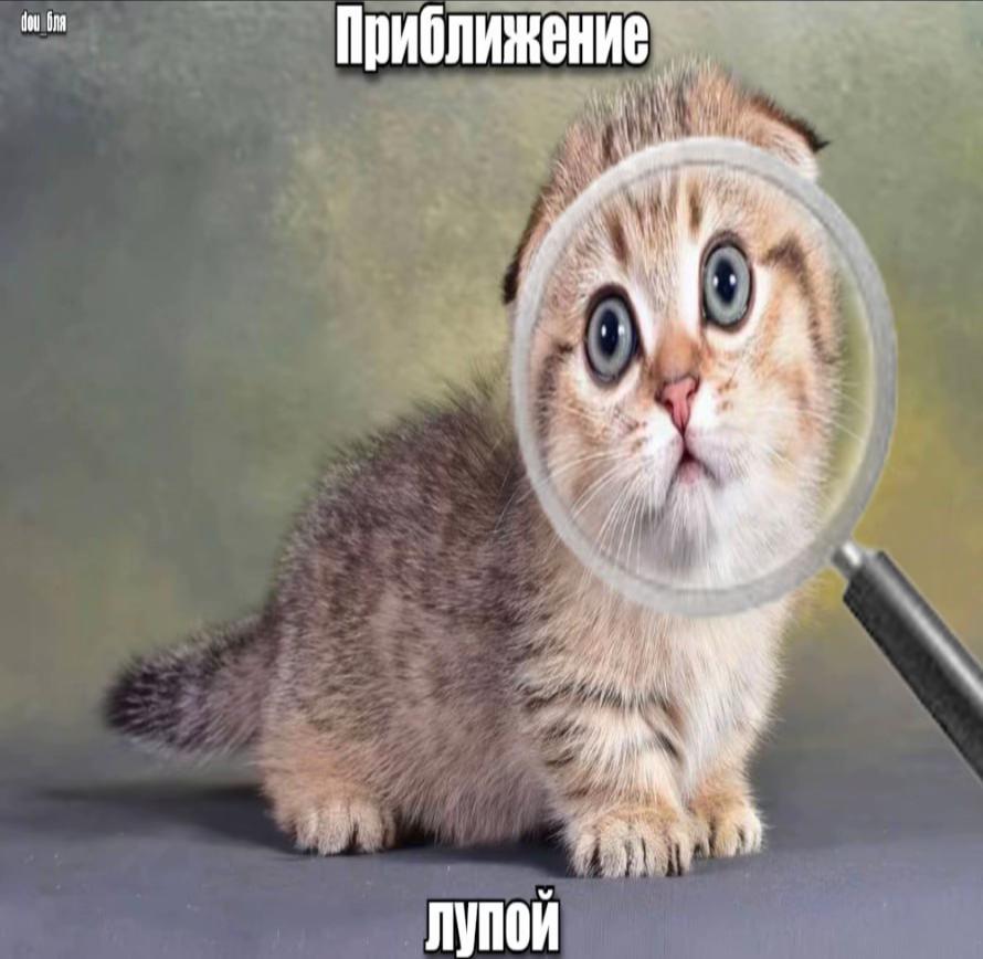 @dou_бля