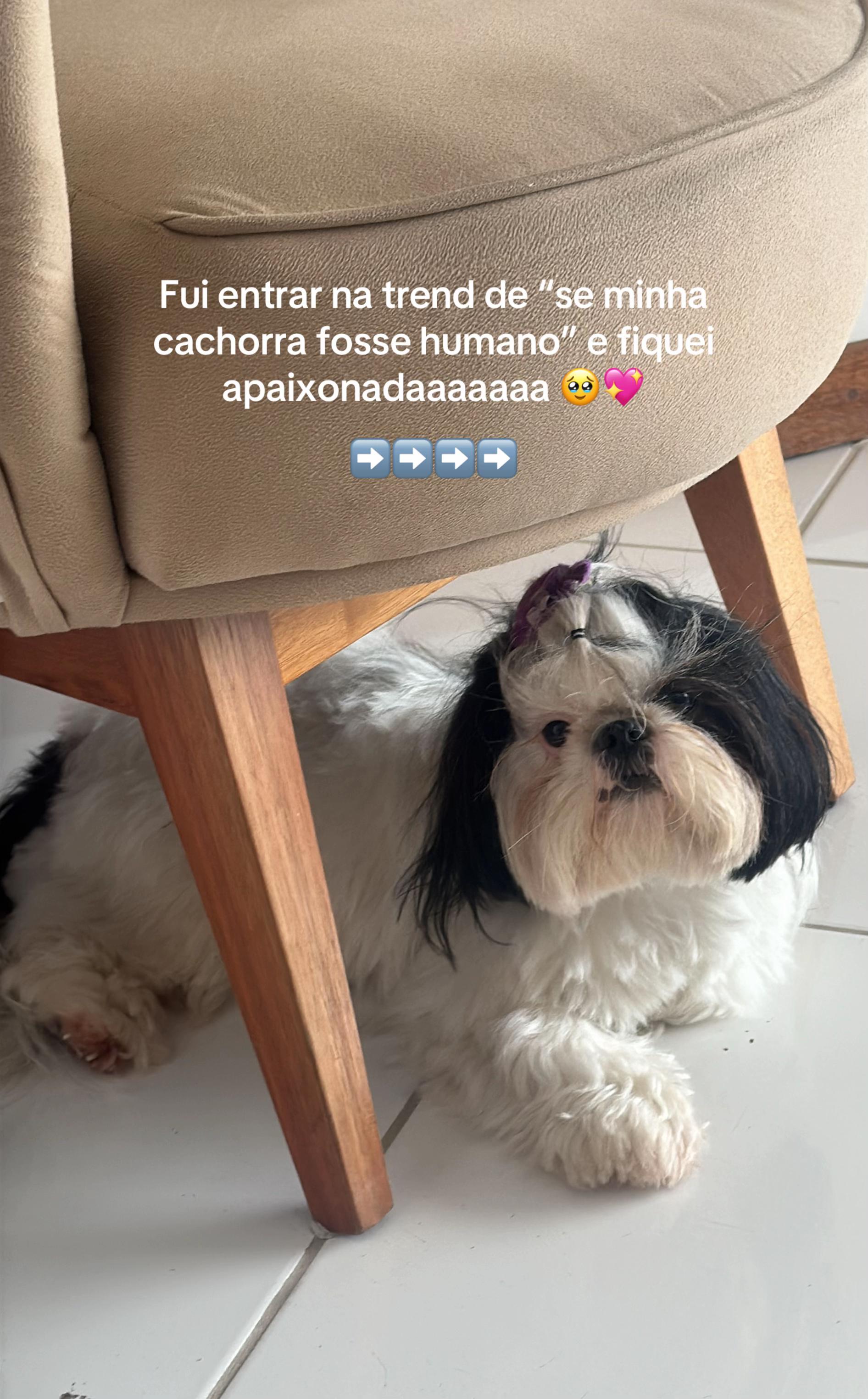@Iara Carvalho