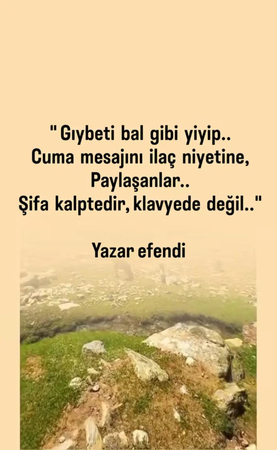 @Fatma Güzelaydın