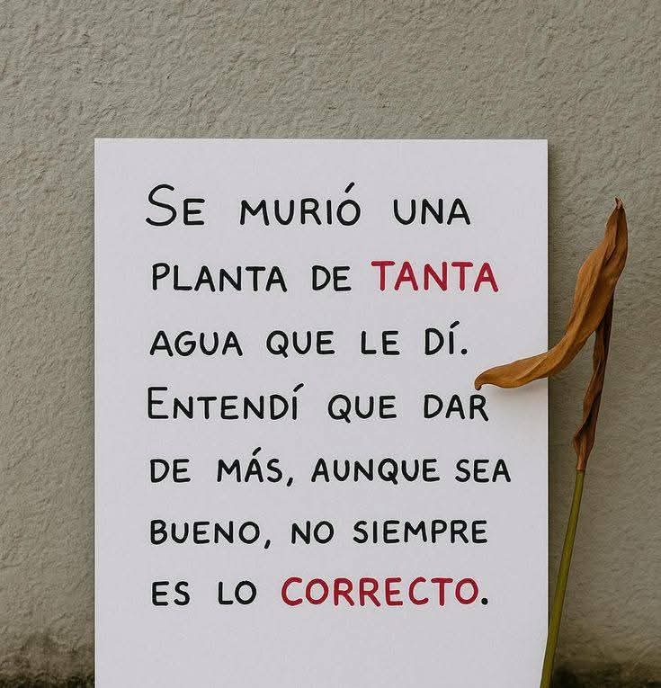 @🎙🎶LA VIDA ES UNA CANCION🎶🎙