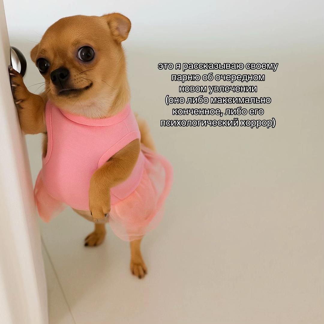 @Алена Крештопова