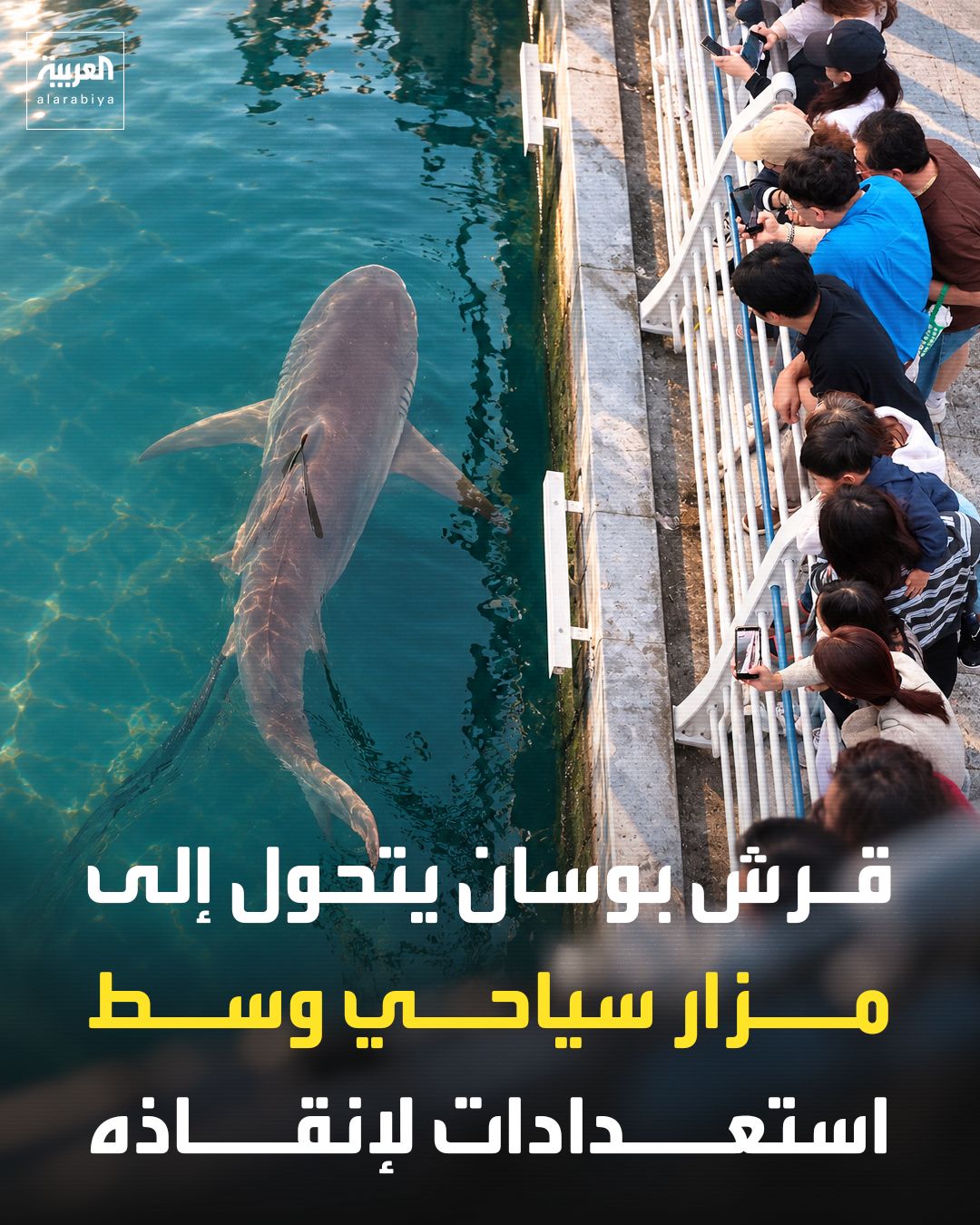 @العربية
