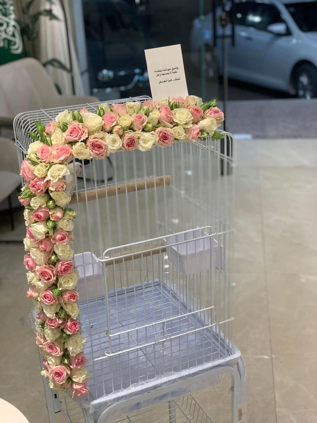 @هدايا حائل