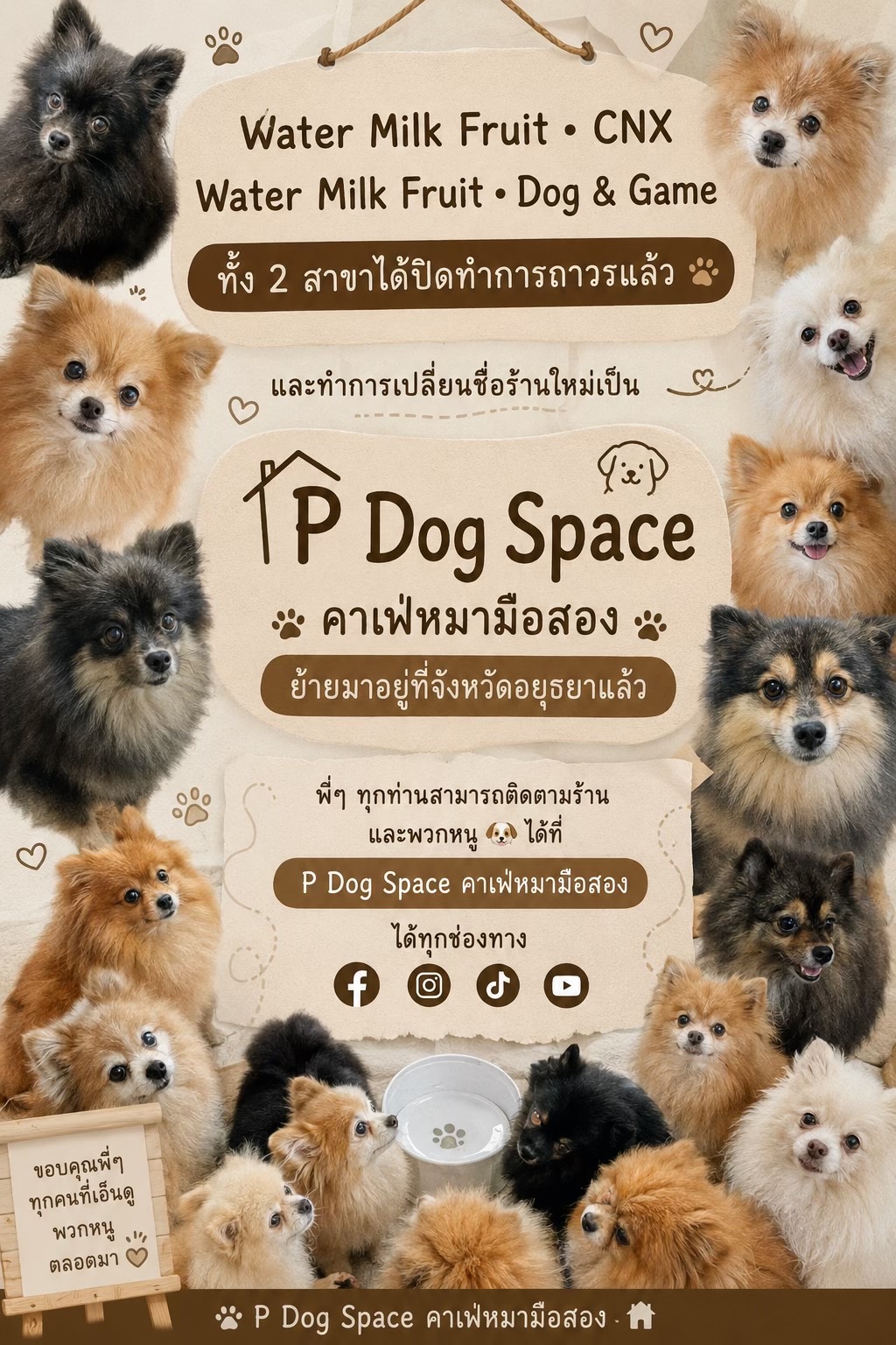@P Dog Space คาเฟ่หมามือสอง 🐶