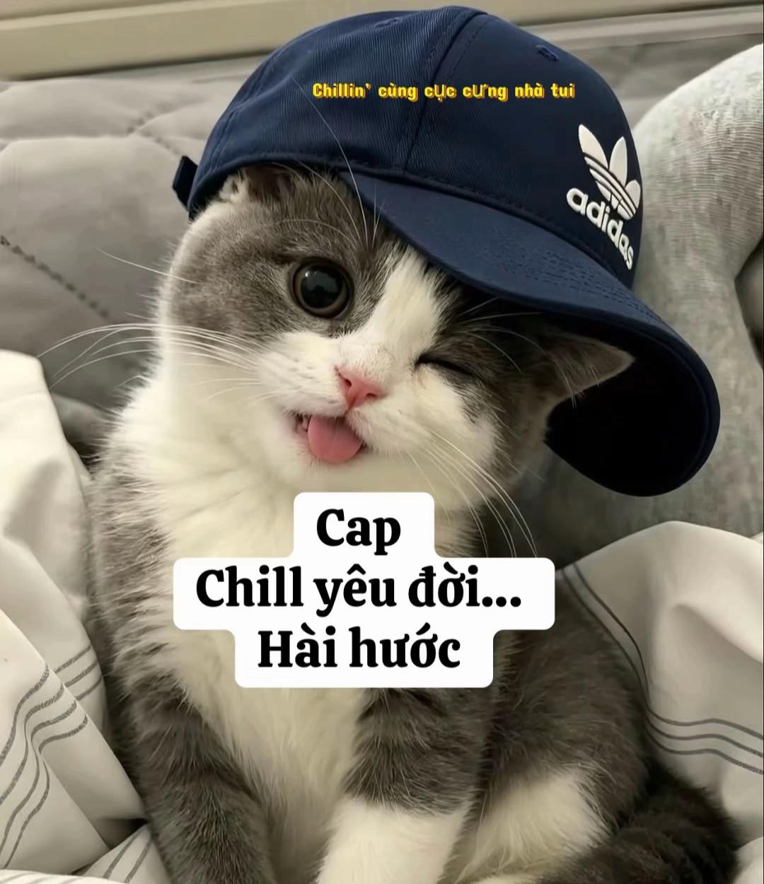 @Hạ Vy