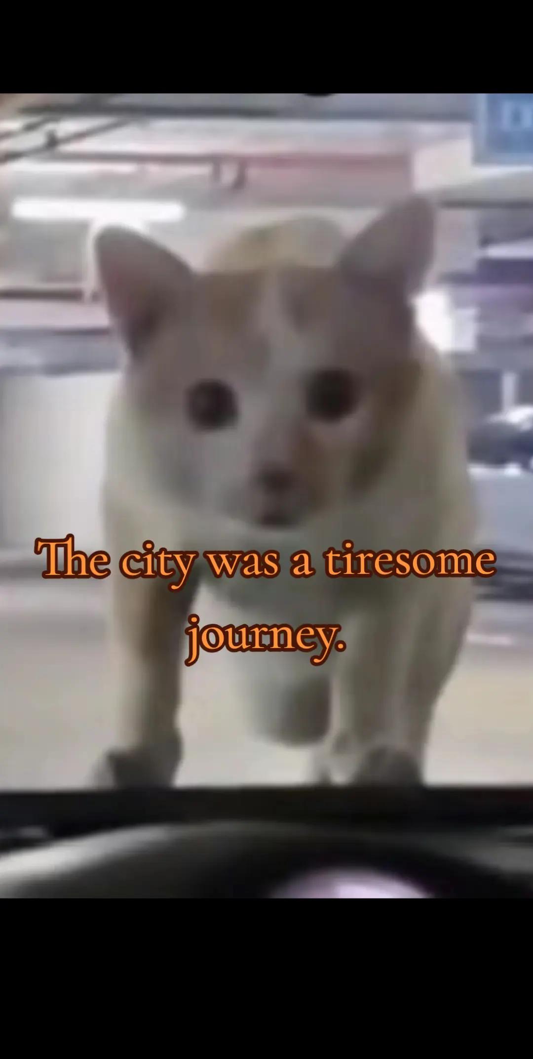 @Eichhörnchen