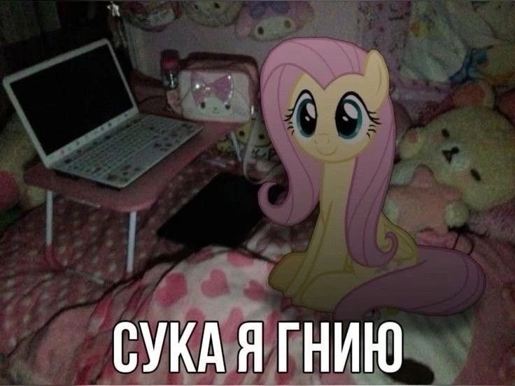 @пока