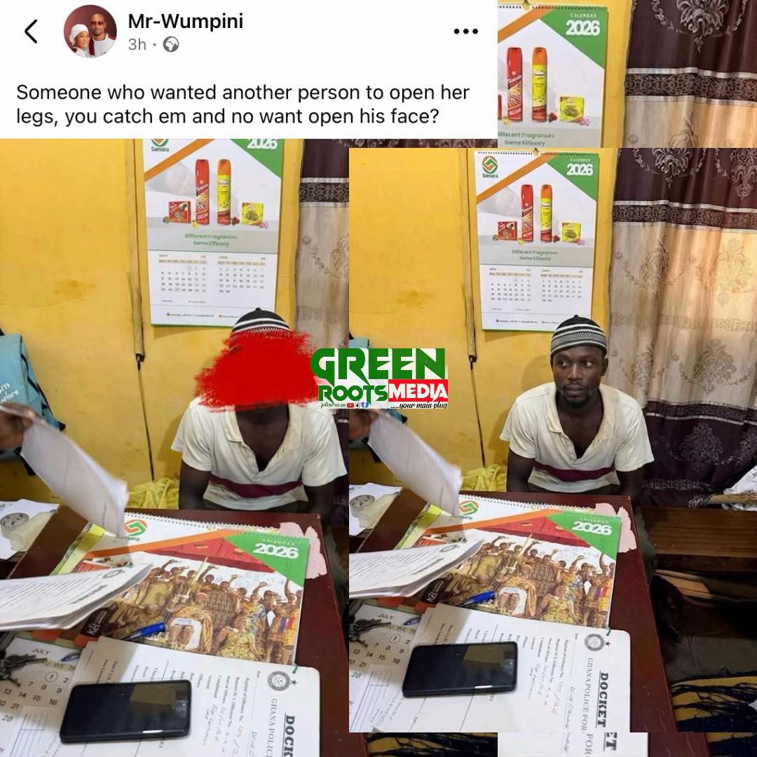 @Green Roots Media
