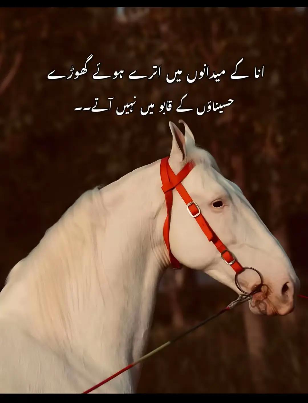 @👀🔥☠️میاں صاحب☠️🔥