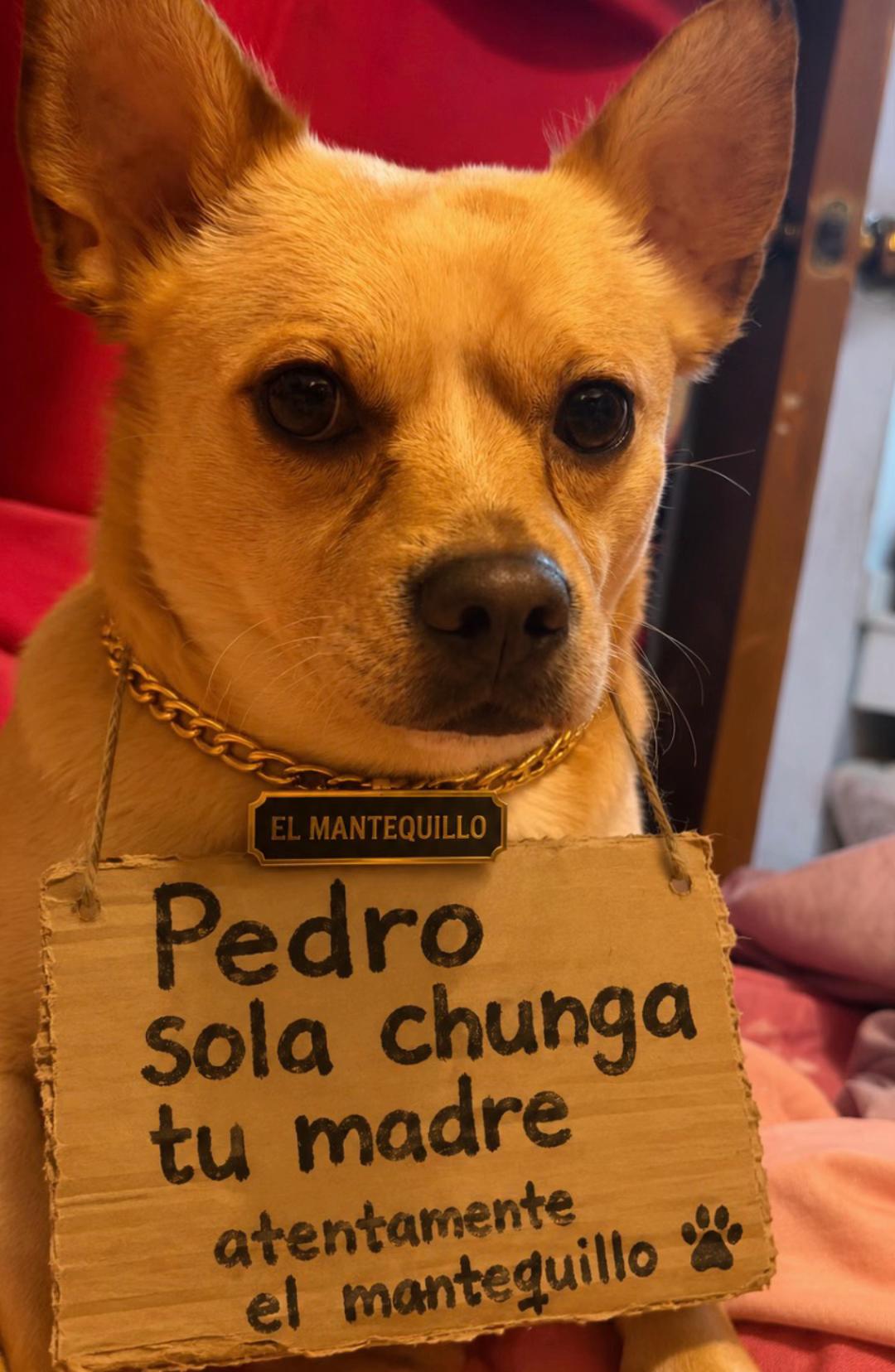 @Rocio Mimiskas