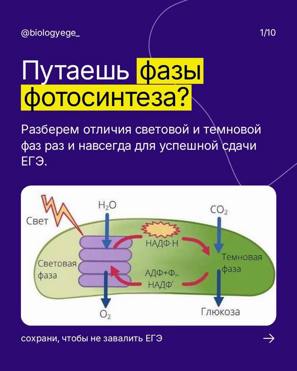 @Алёна Бриз