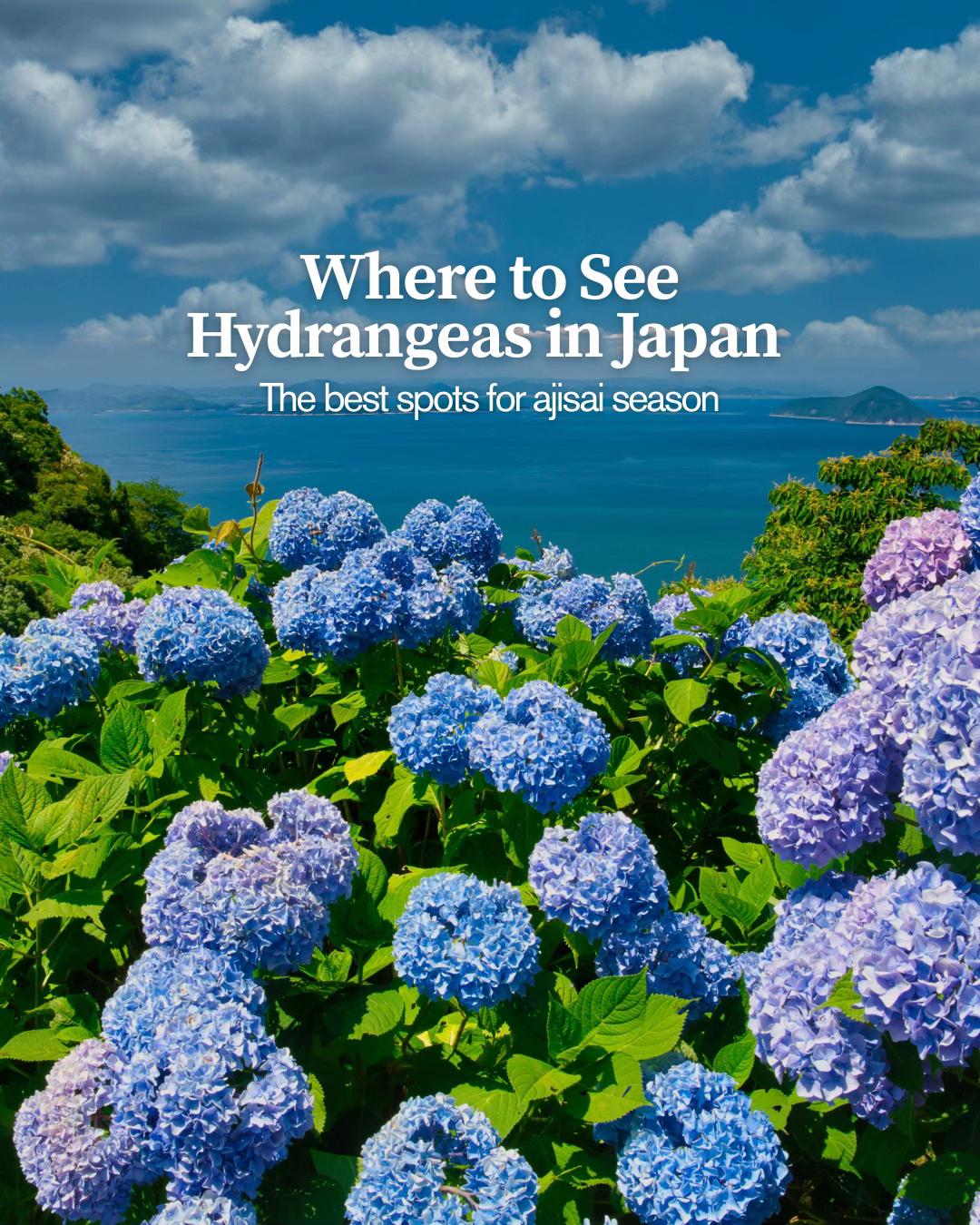 @Voyapon - Japan Travel Guide