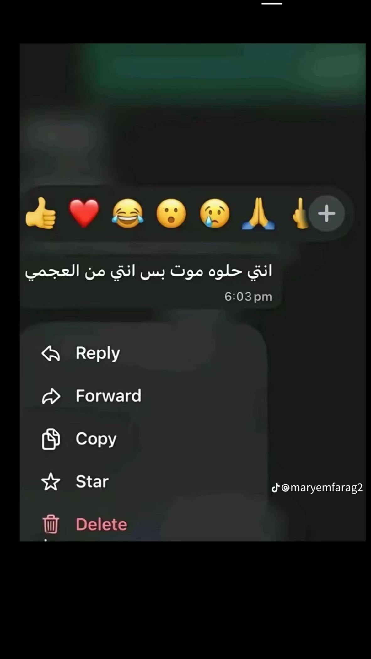 @Menna_hassan
