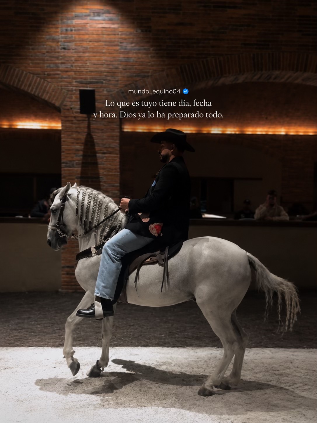 @mundo_equino04