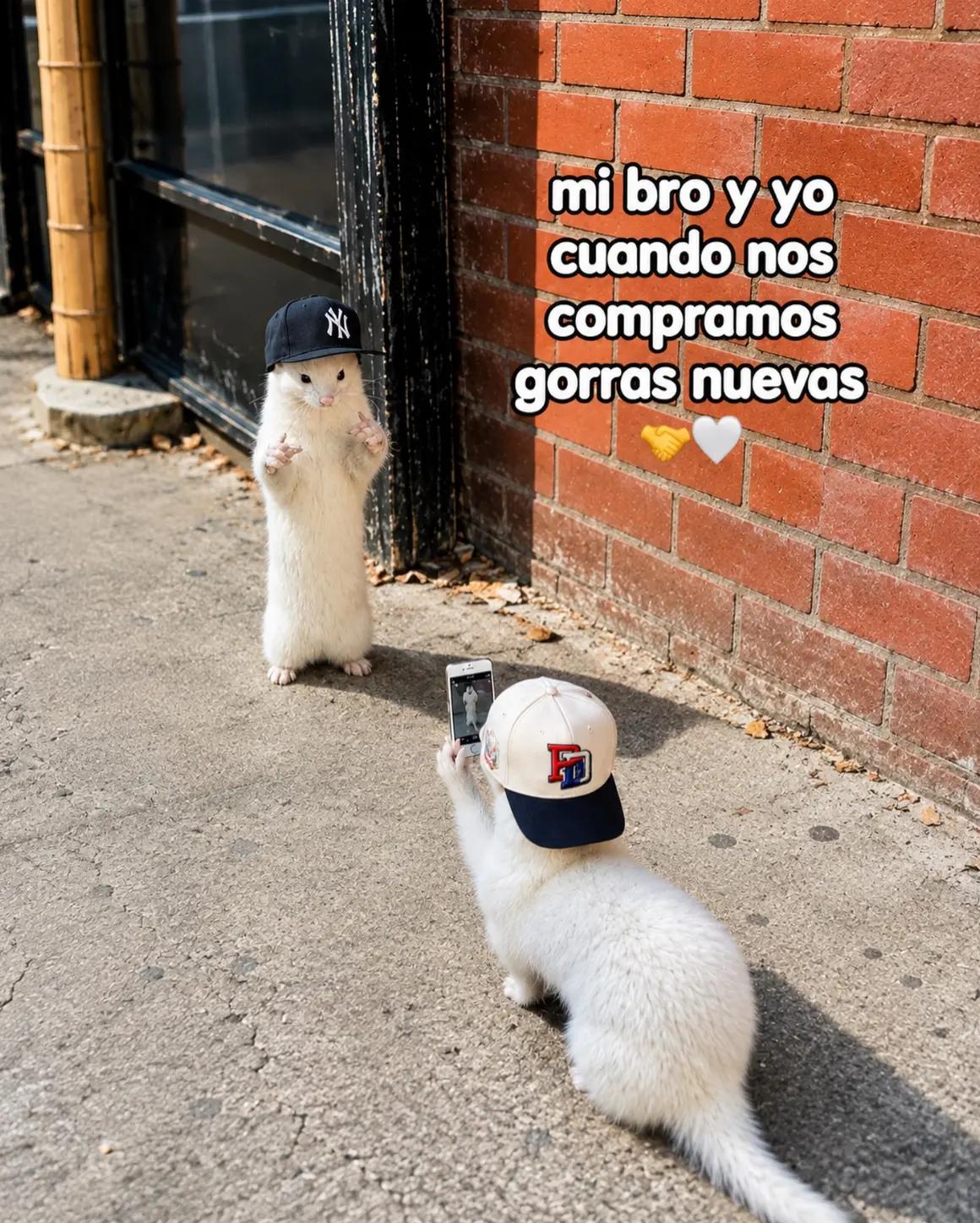 @.