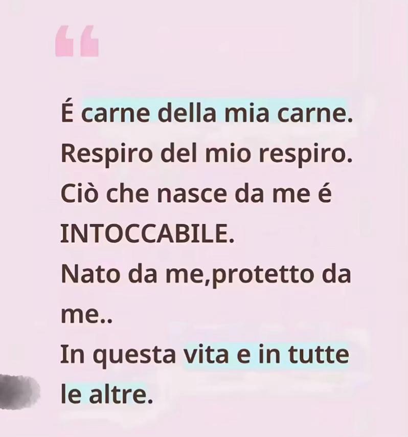 @Desireebarbagallo