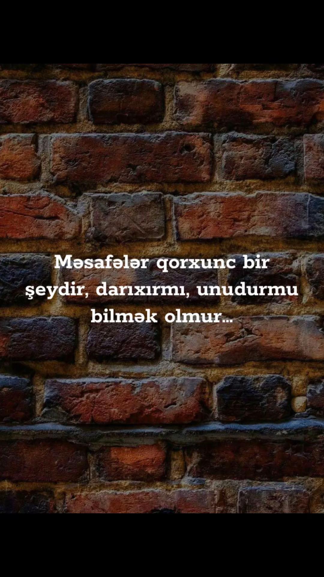 @musiqi_qidasi