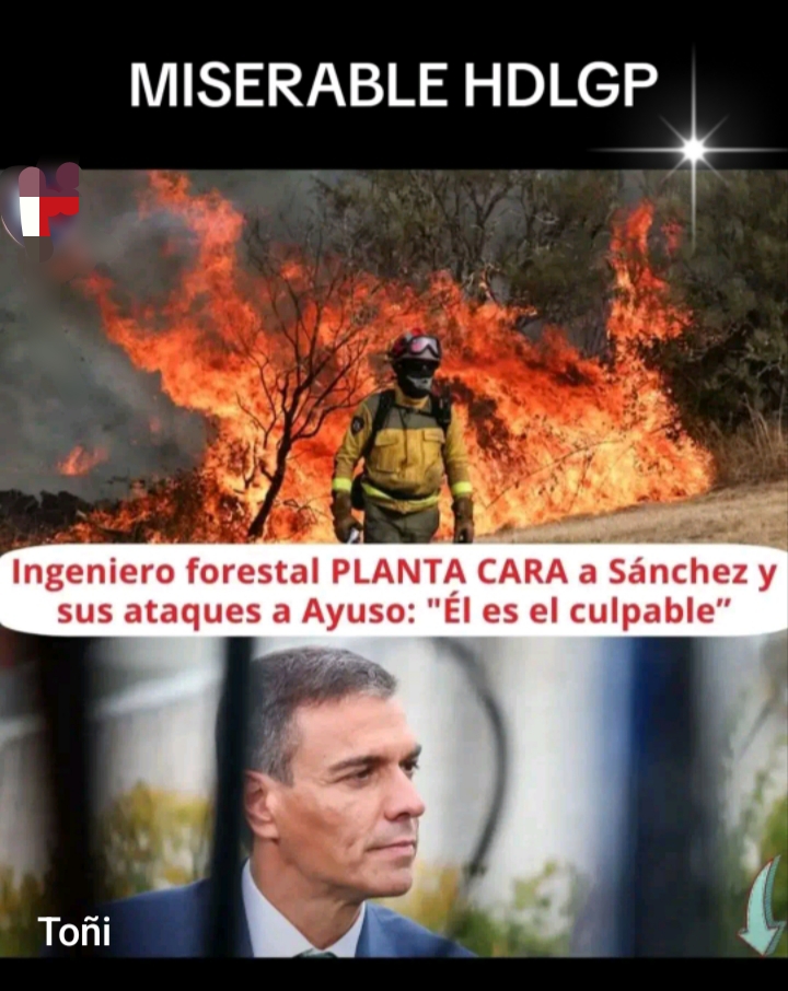 @To&ntilde;i