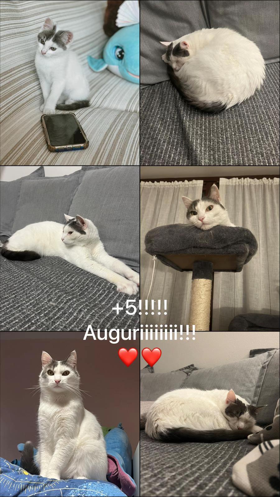 @eva_viberti🤸🏻♀️🫶🏻
