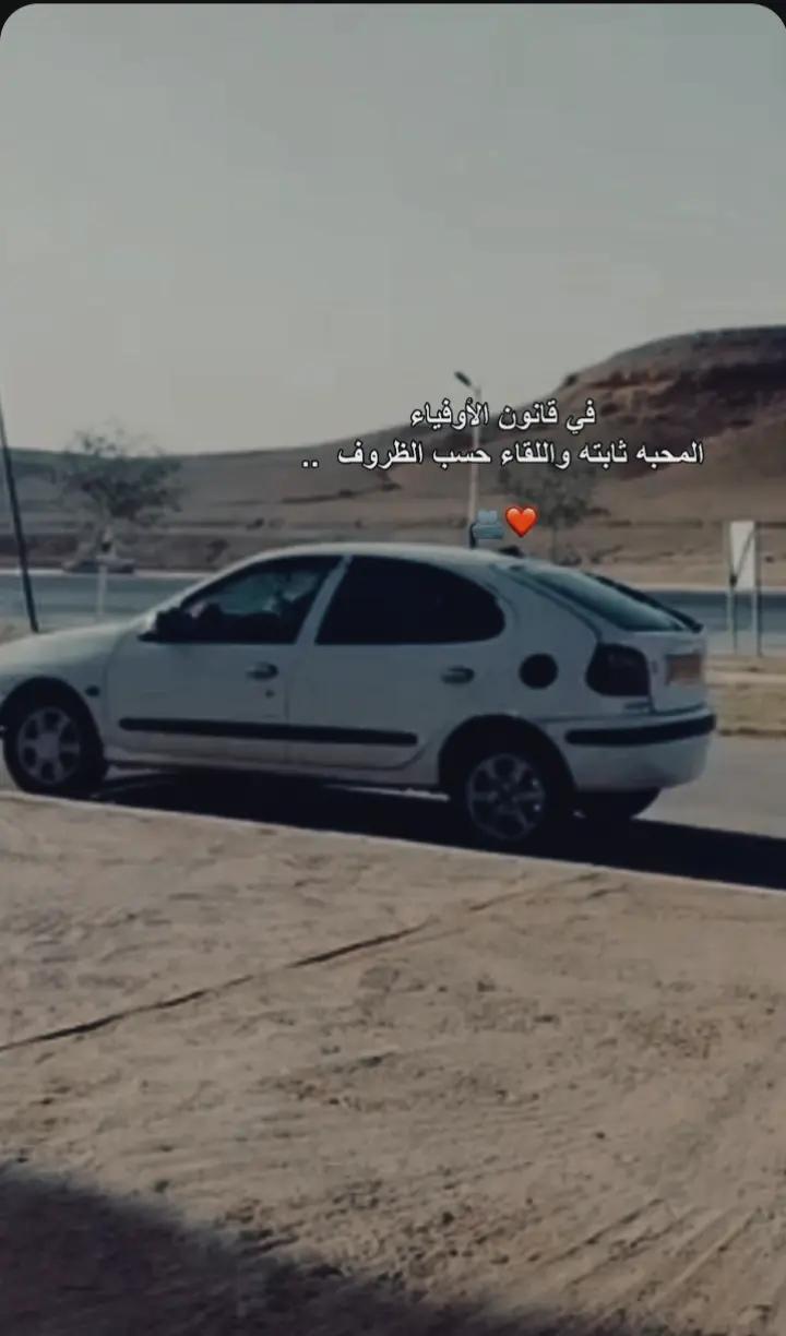 @🎩safi🎩