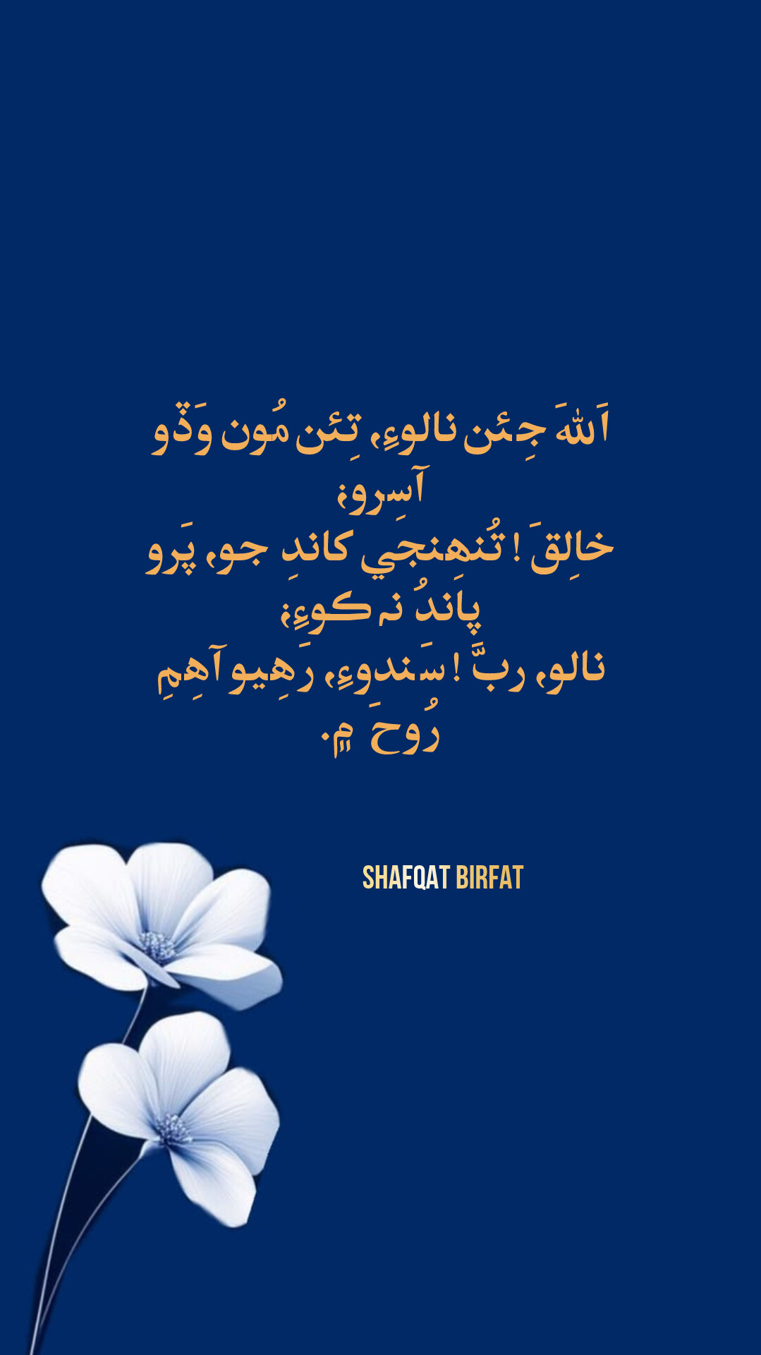 @shafqat burfat
