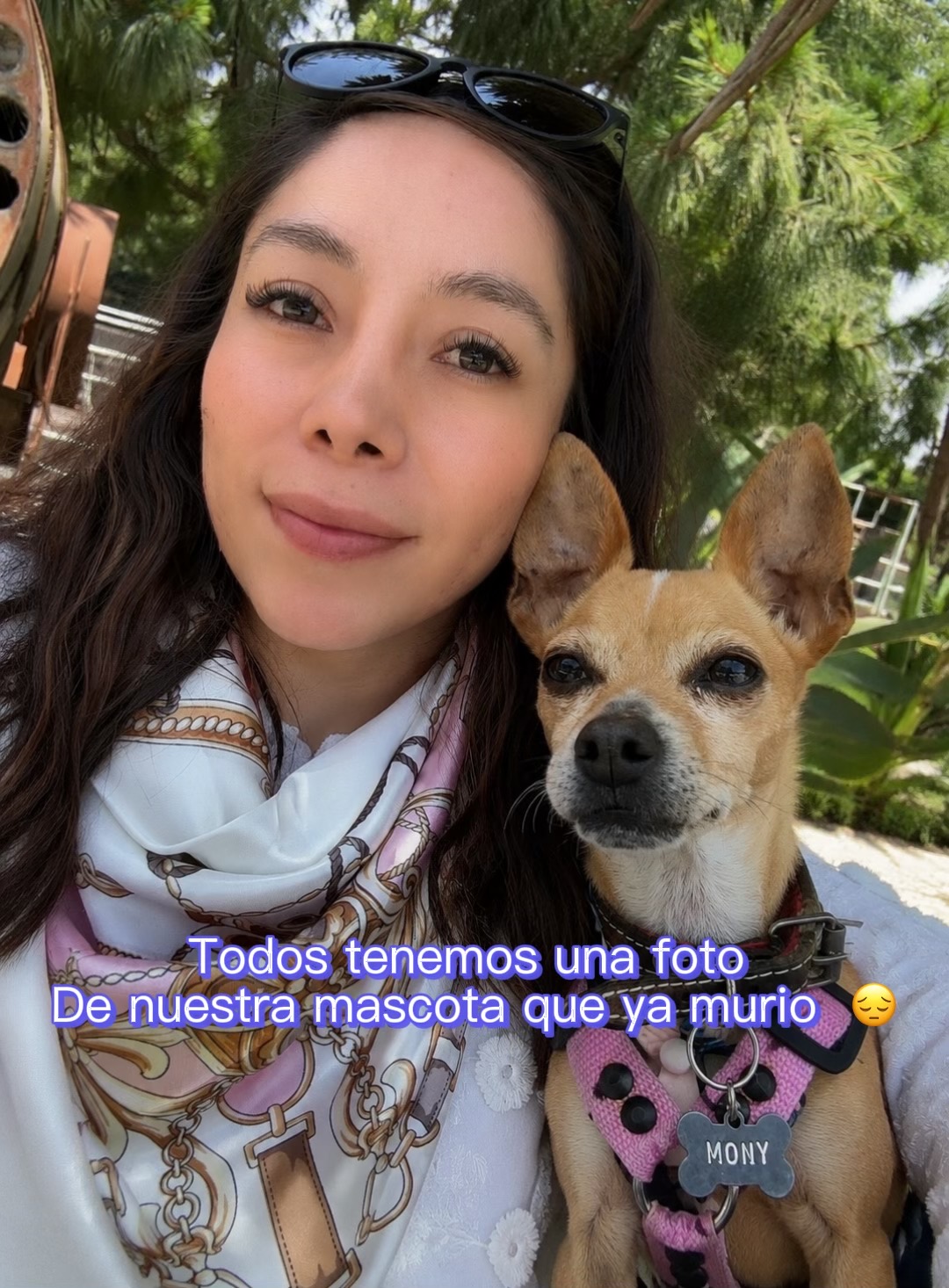 @Ana Cortés