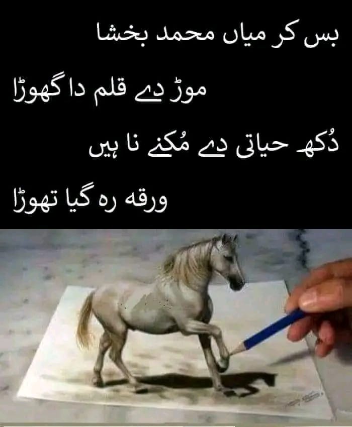 @FASHAN👗TALR