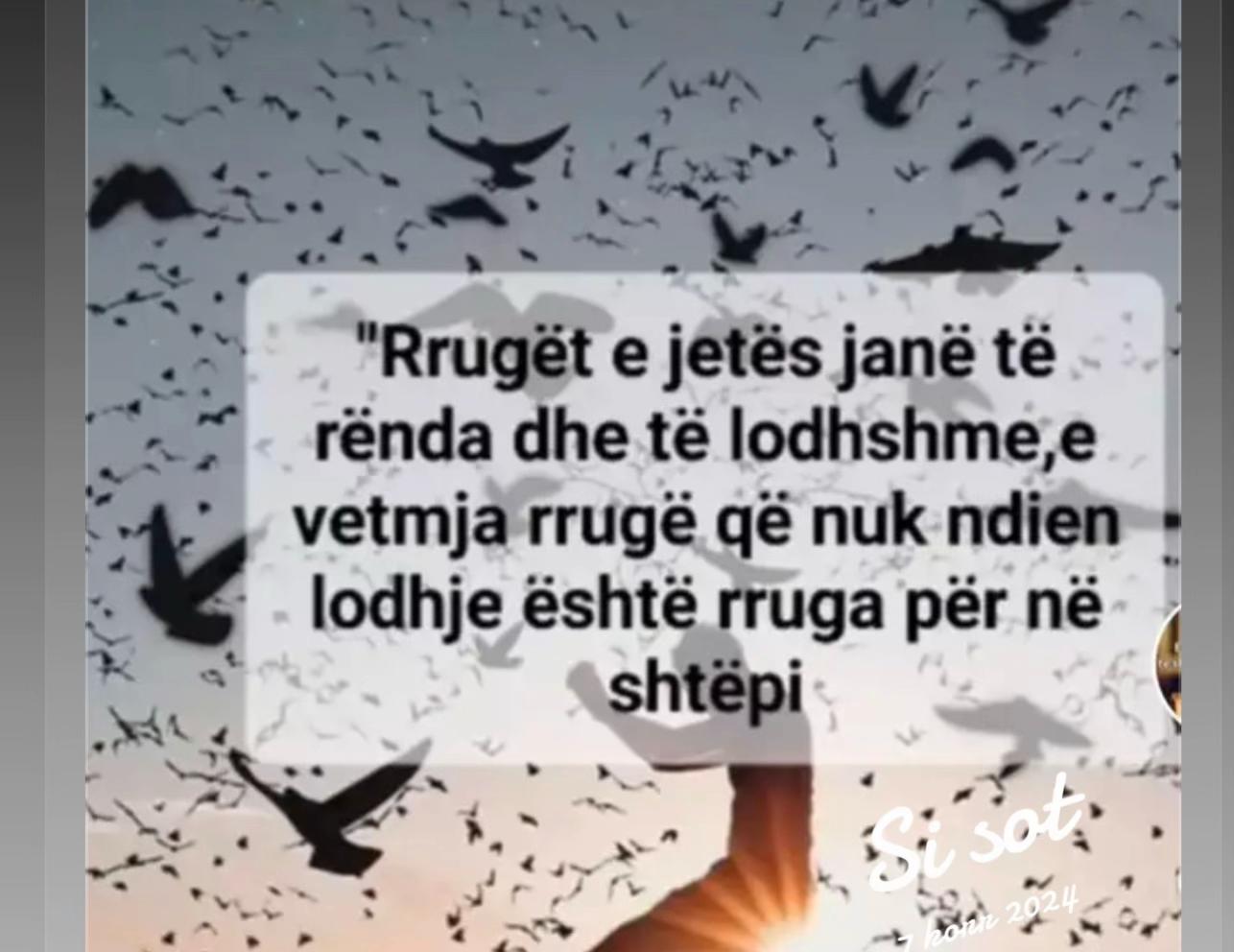 @ajo goca