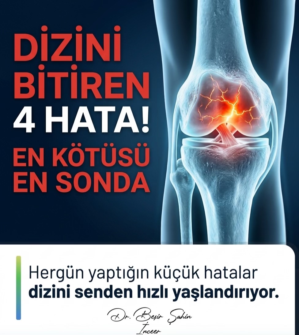 @Dr. Beşir Şahin İnceer