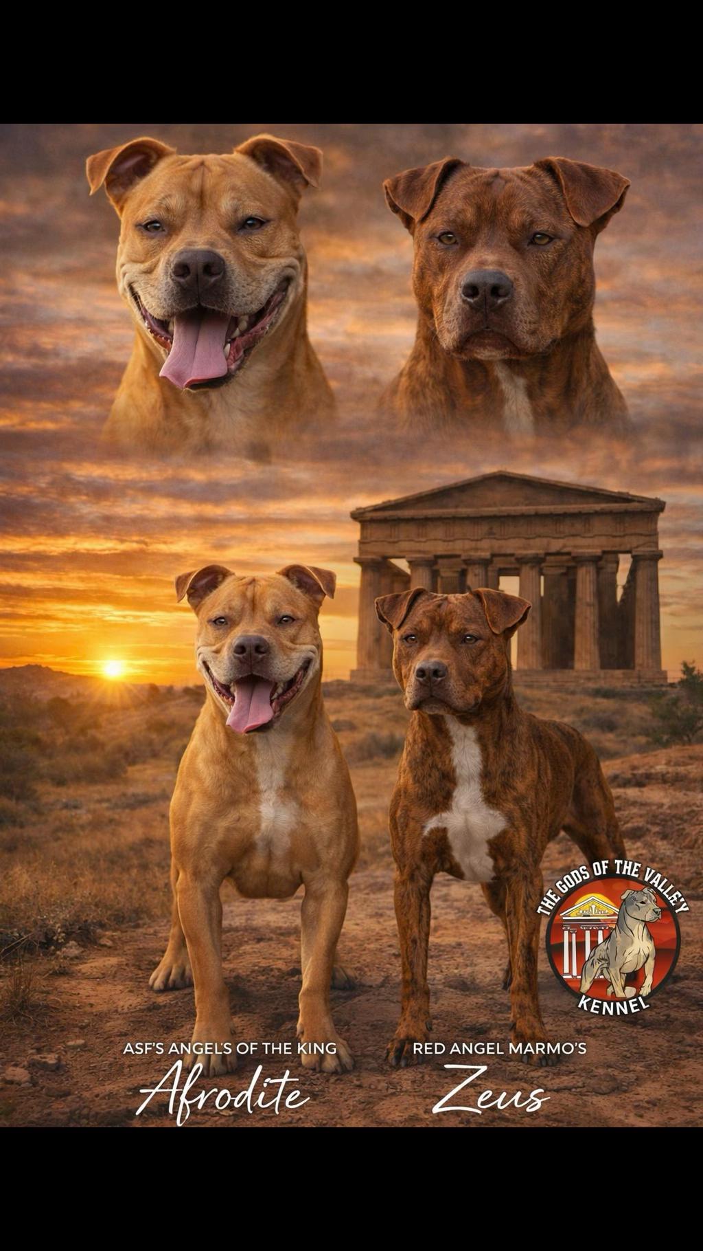 @The gods of the valley🏛️🐾
