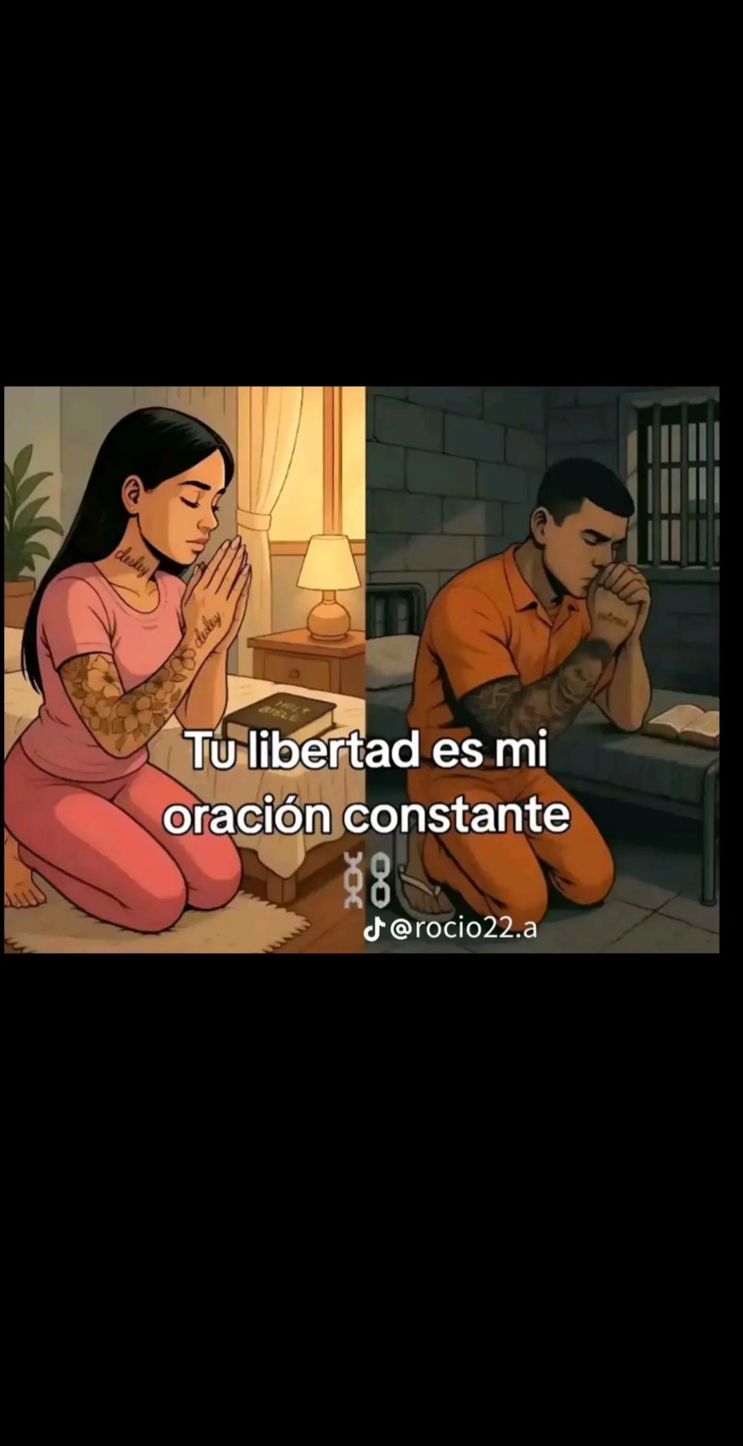 @layla