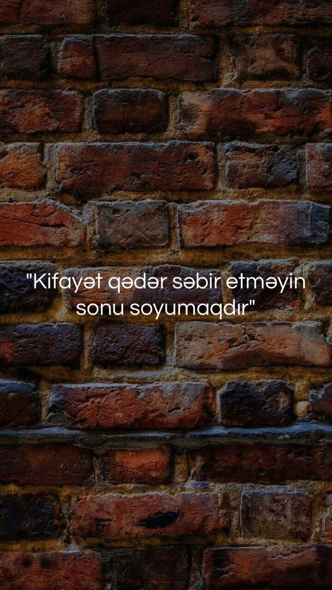 @musiqi_qidasi