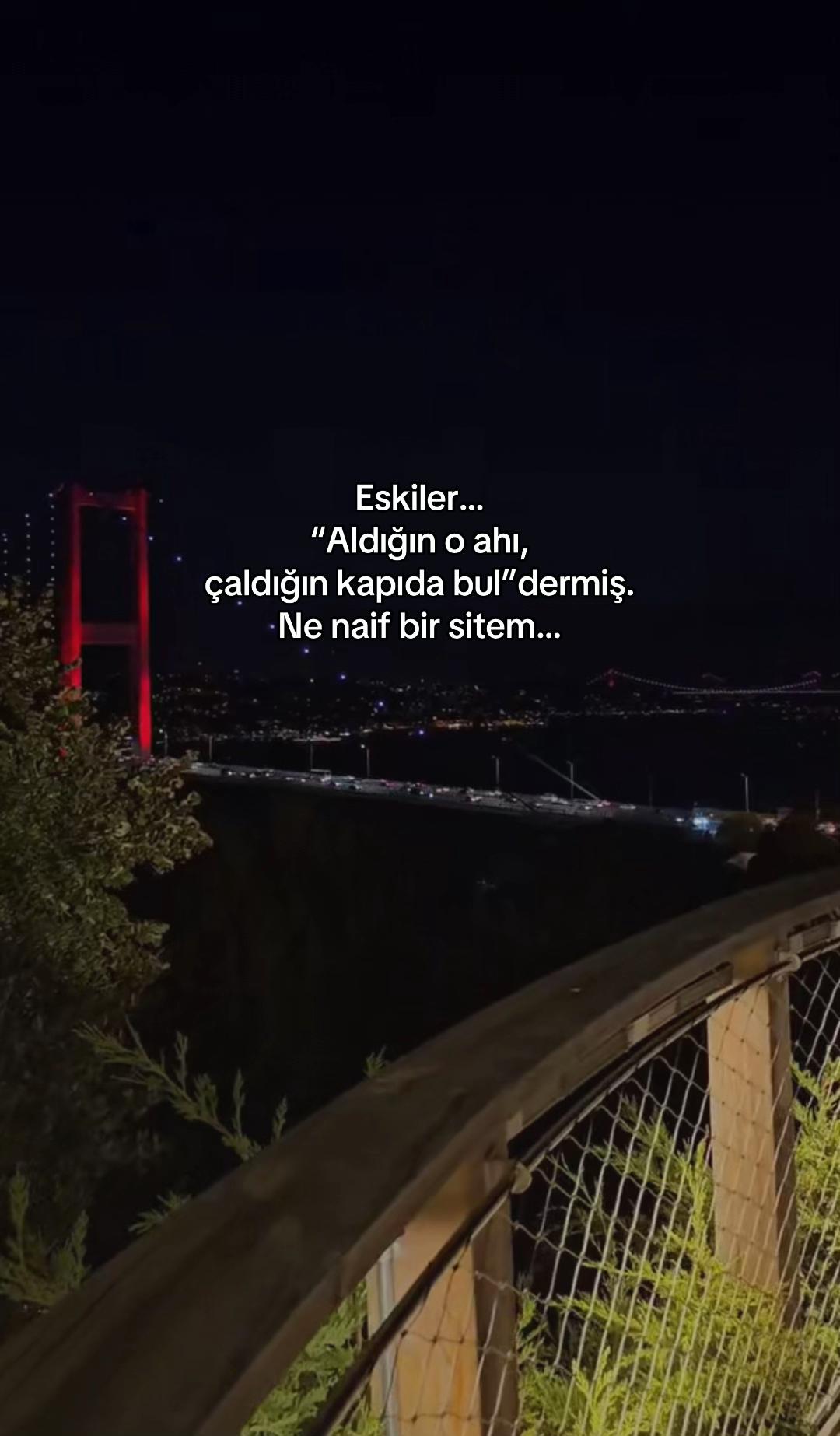 @seviyorgibiydin24