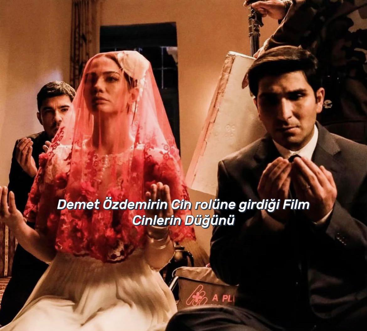 @beyazcekirdek