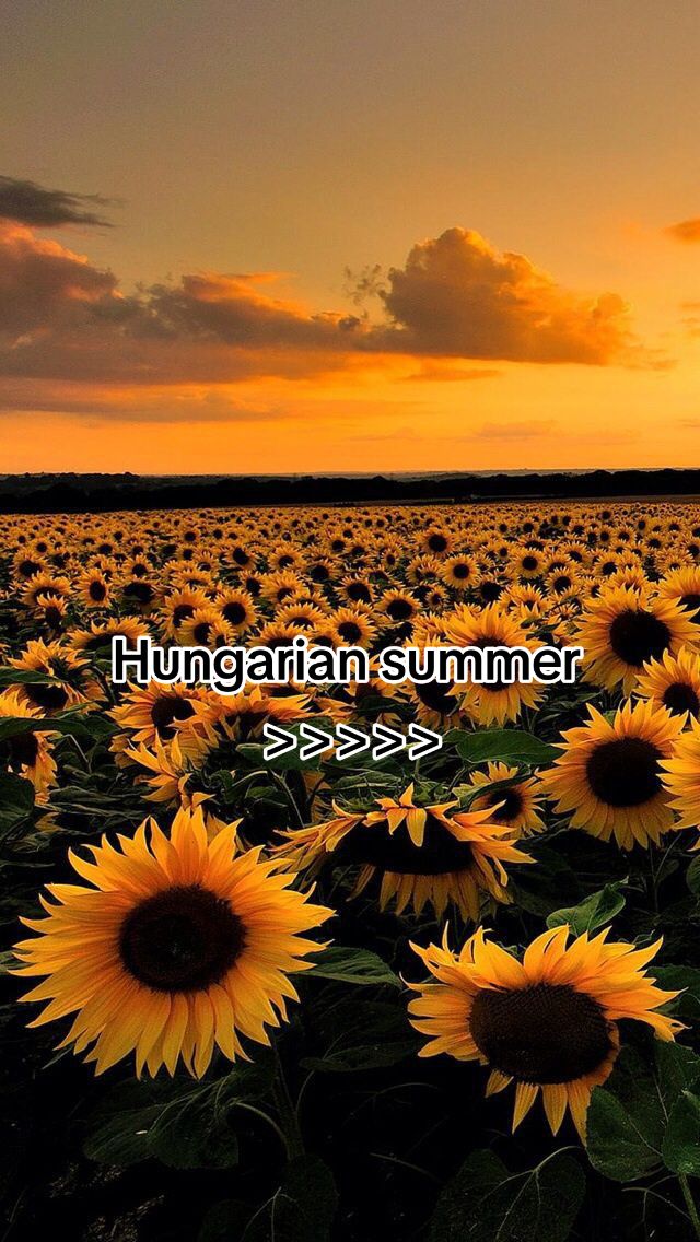 @Fruzsi