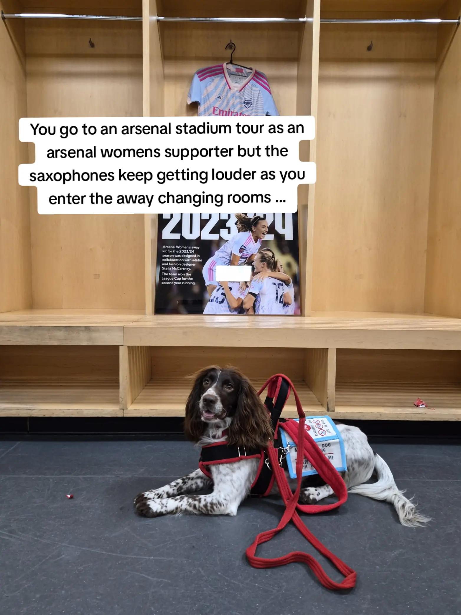 @Cocoa and Forrest 🐕&zwj;🦺🐩