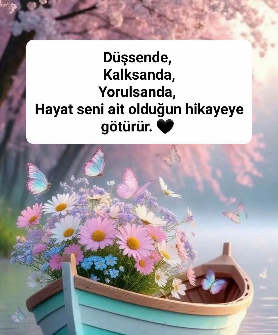 @48 Krall Lionn