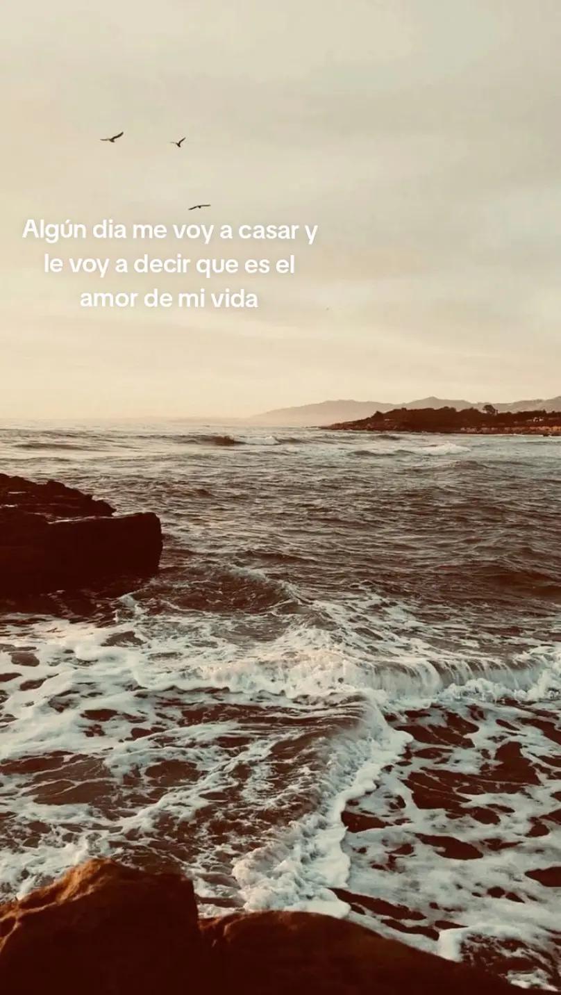 @🌊‧͙⁺˚*･༓☾ 𝘮𝘢𝘳𝘴 ☽༓･*˚⁺‧͙🌊