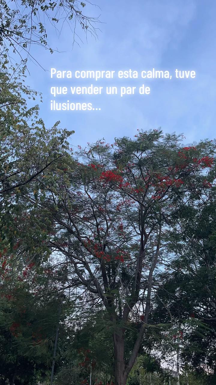 @Alta.Durán